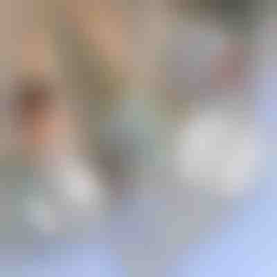 Bandă de reparații pentru plase de țânțari | INSECTAPE