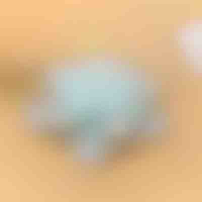 Recipient rotativ | SNACKARO