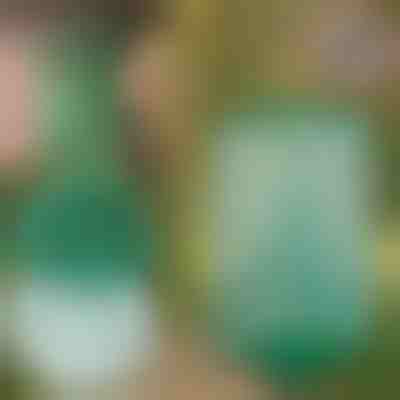 Capcană de muște suspendată reutilizabilă pentru grădină, terasă și balcon | INSECTA