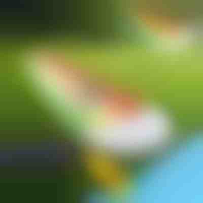 Tobogan gonflabil cu apă (465x80cm) | REEFLY