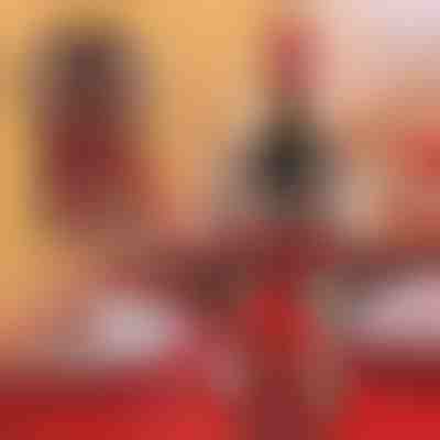 Husă pentru sticle de vin | VINOPOUCH