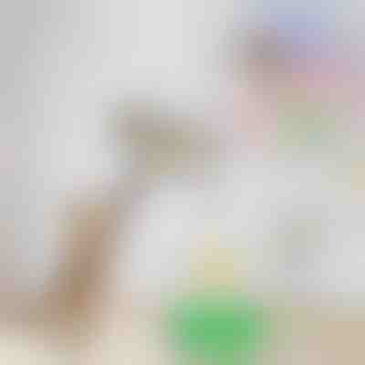 Jucărie pentru pisici | BIRDIETOY