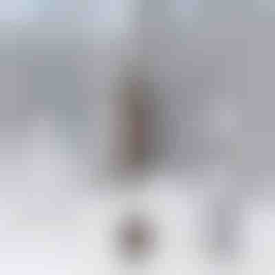 Clopoțel de vânt | BELLSERA