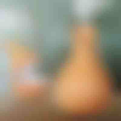 Umidificator din lemn | HUMISTER