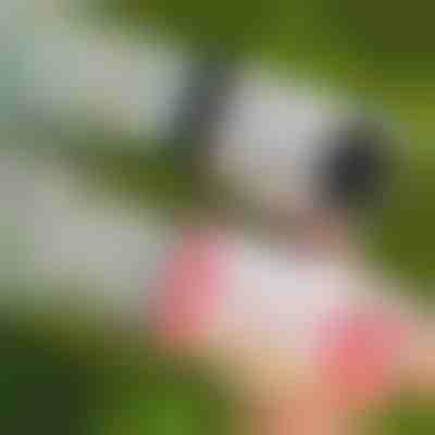 Pistol cu bule cu 69 de orificii și lumini LED | BUBBLEPUFF