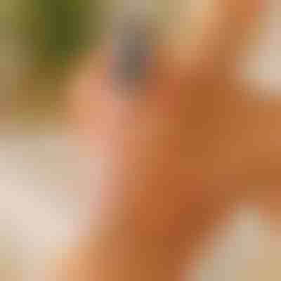 Pilă pentru picioare netede și fine | PEDIVIA