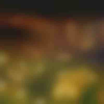 Lămpi solare de grădină (lumină caldă) | SOMPEX