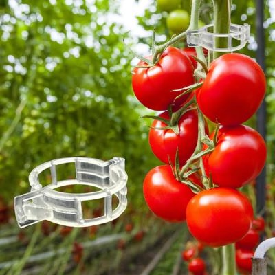 Clipsuri de grădină pentru susținerea plantelor (300 bucăți) | TOMACLI